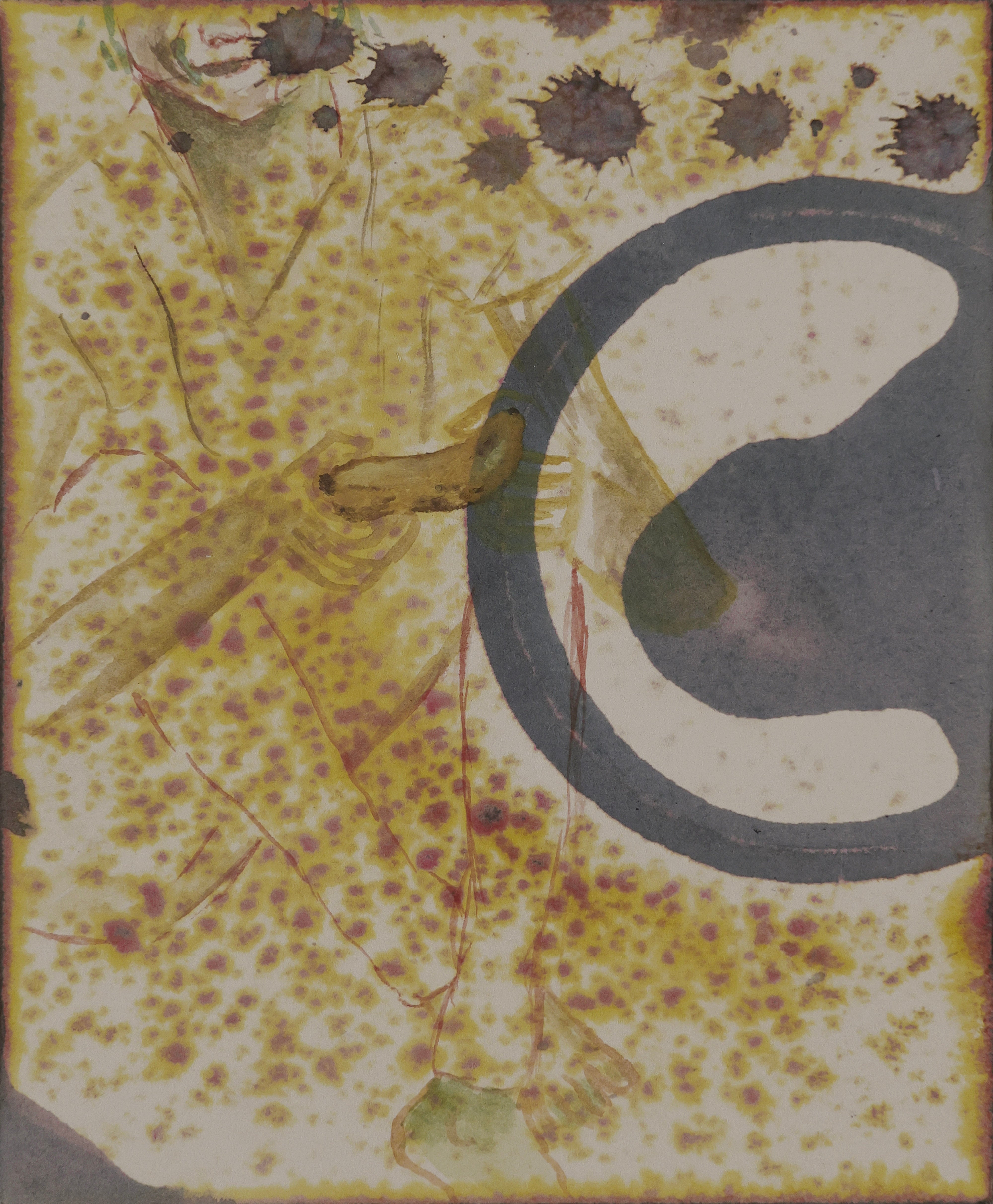 Banana Story VII