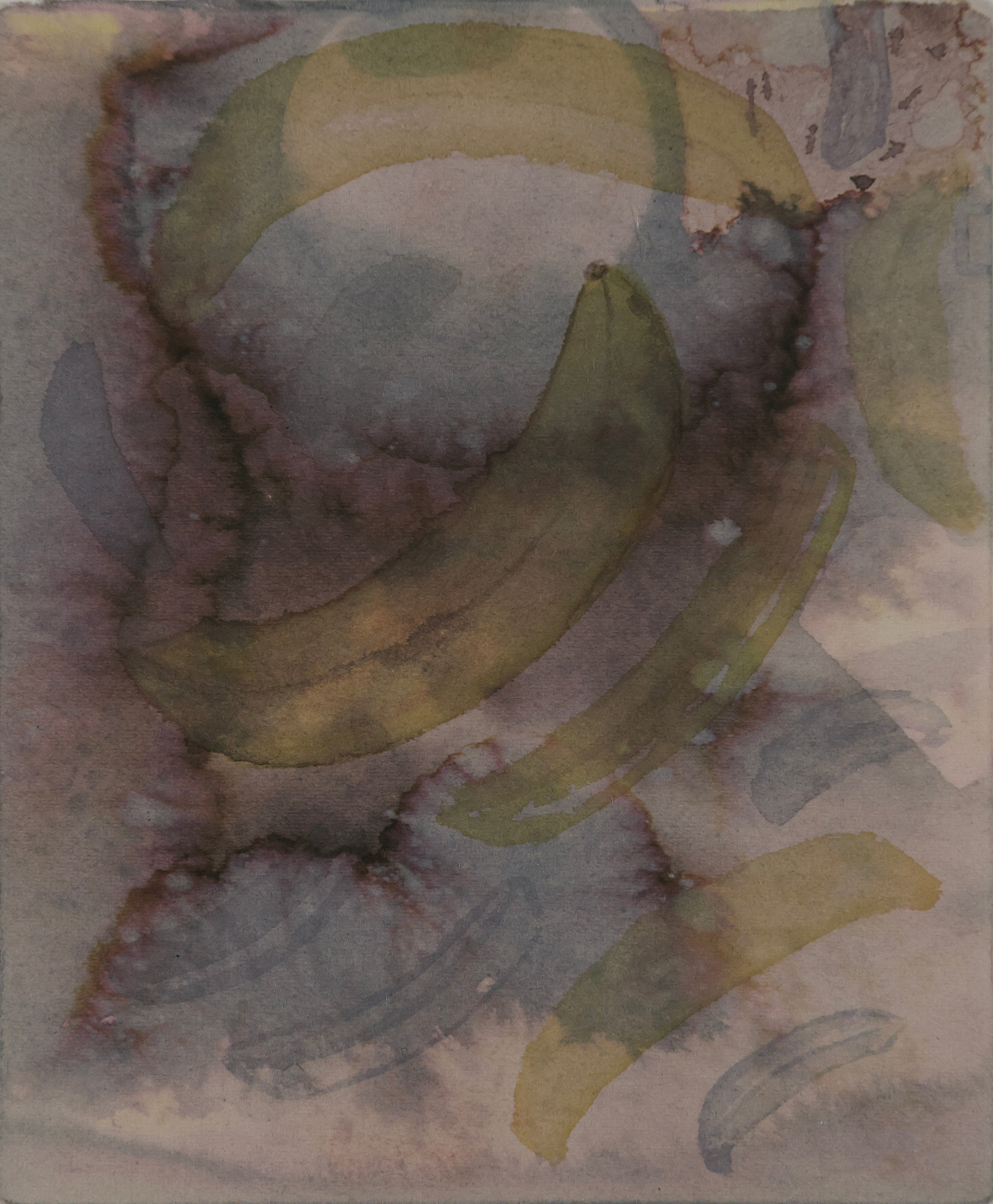 Banana Story III