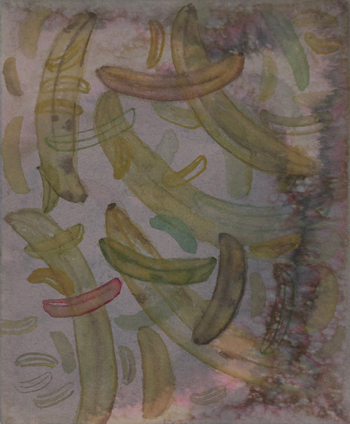 Banana Story V