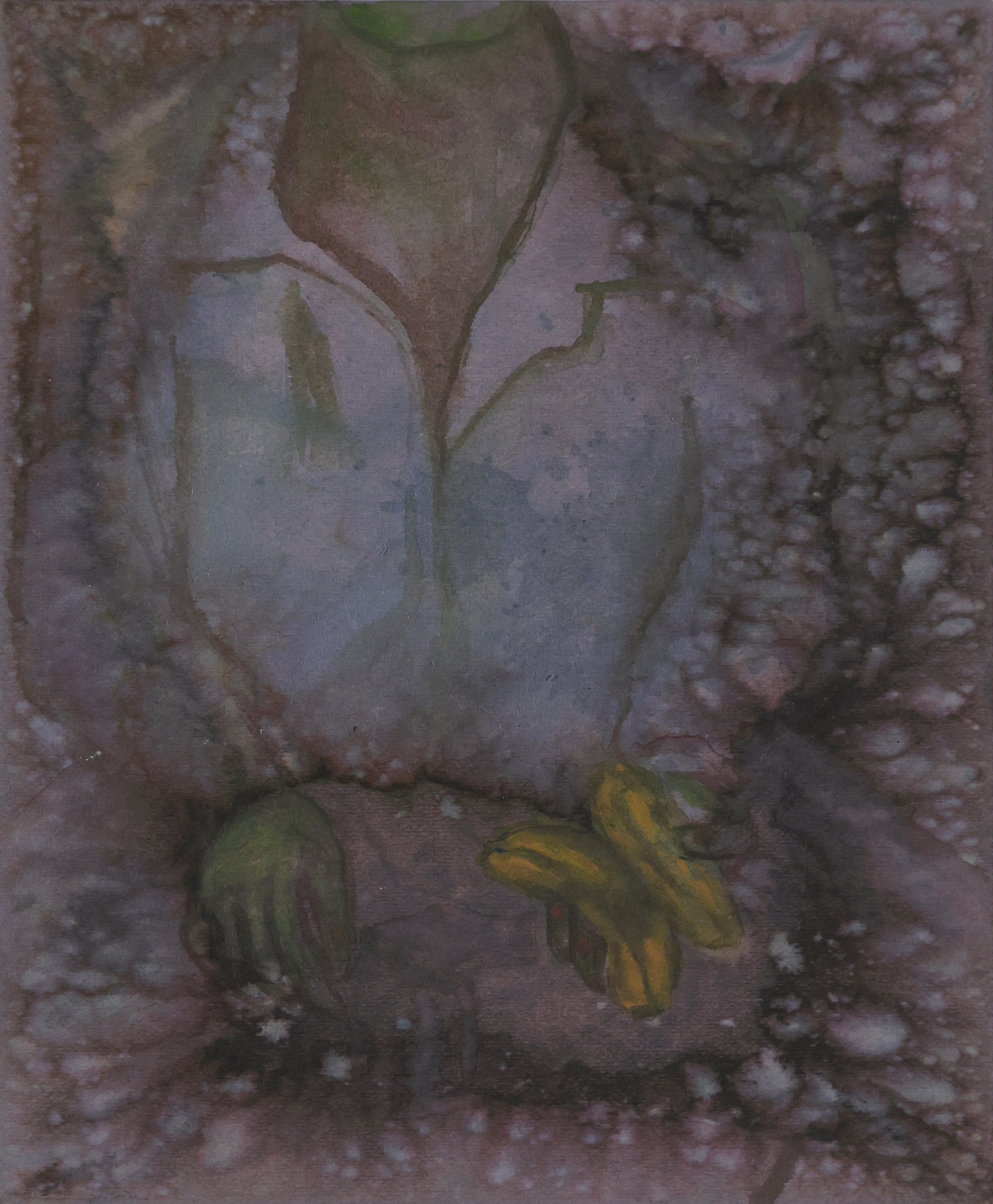 Banana Story IV