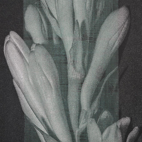 Contemporary Art
