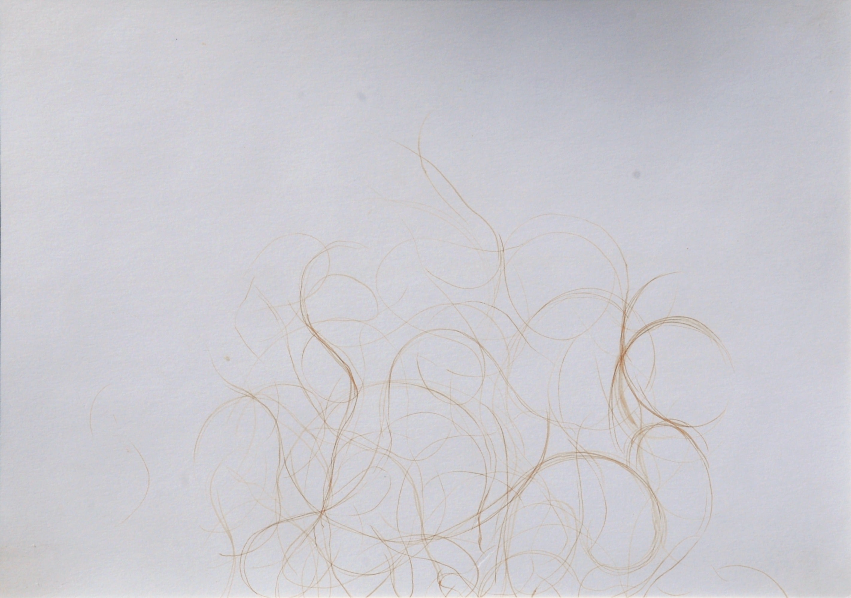 Loose Hair II