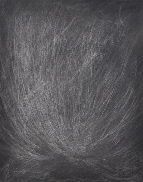 Hairscape I