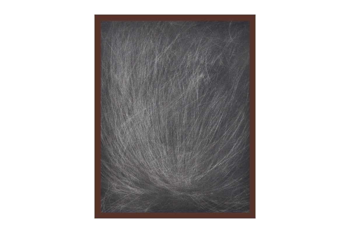 Hairscape I