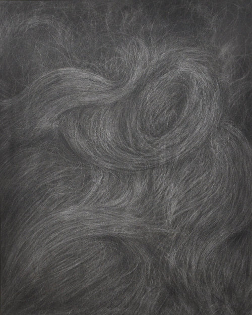 Hairscape II