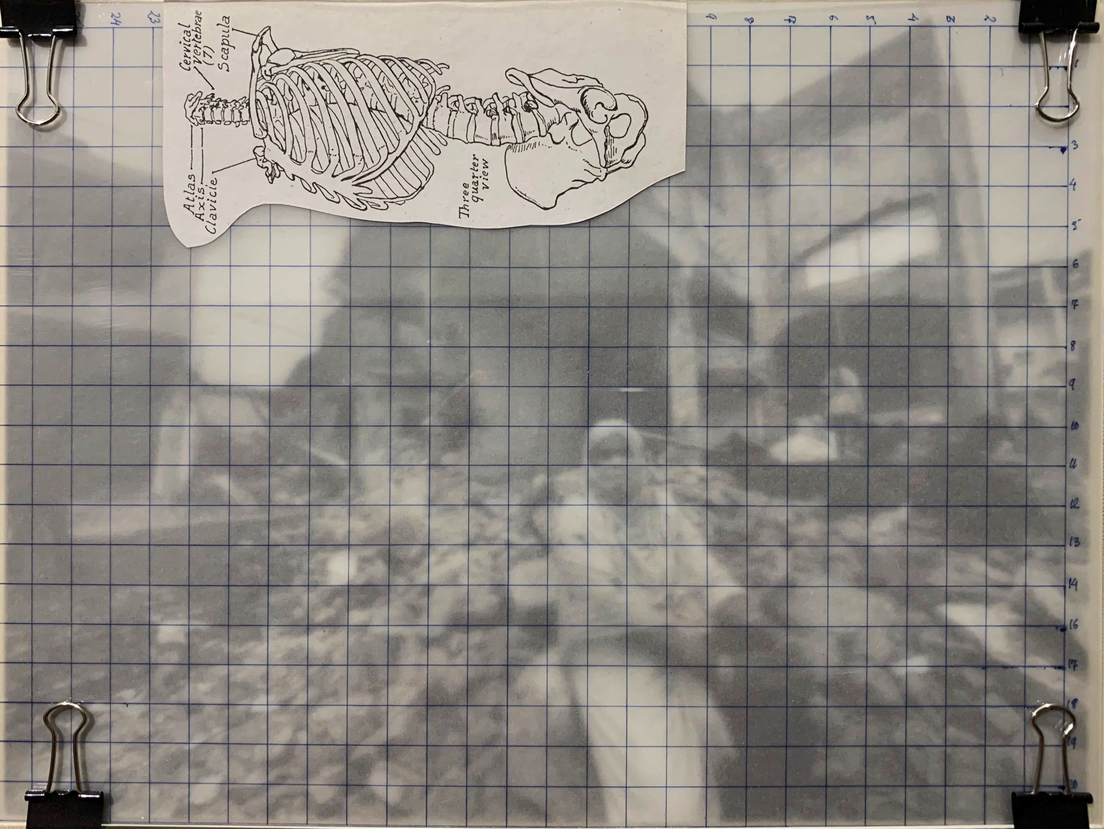 Is It All Measured? II