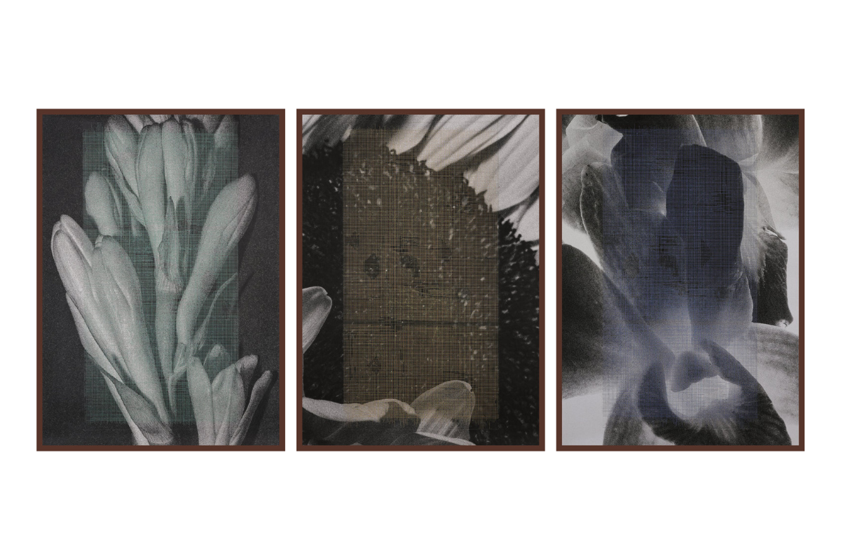Blow Up (Set of 3)