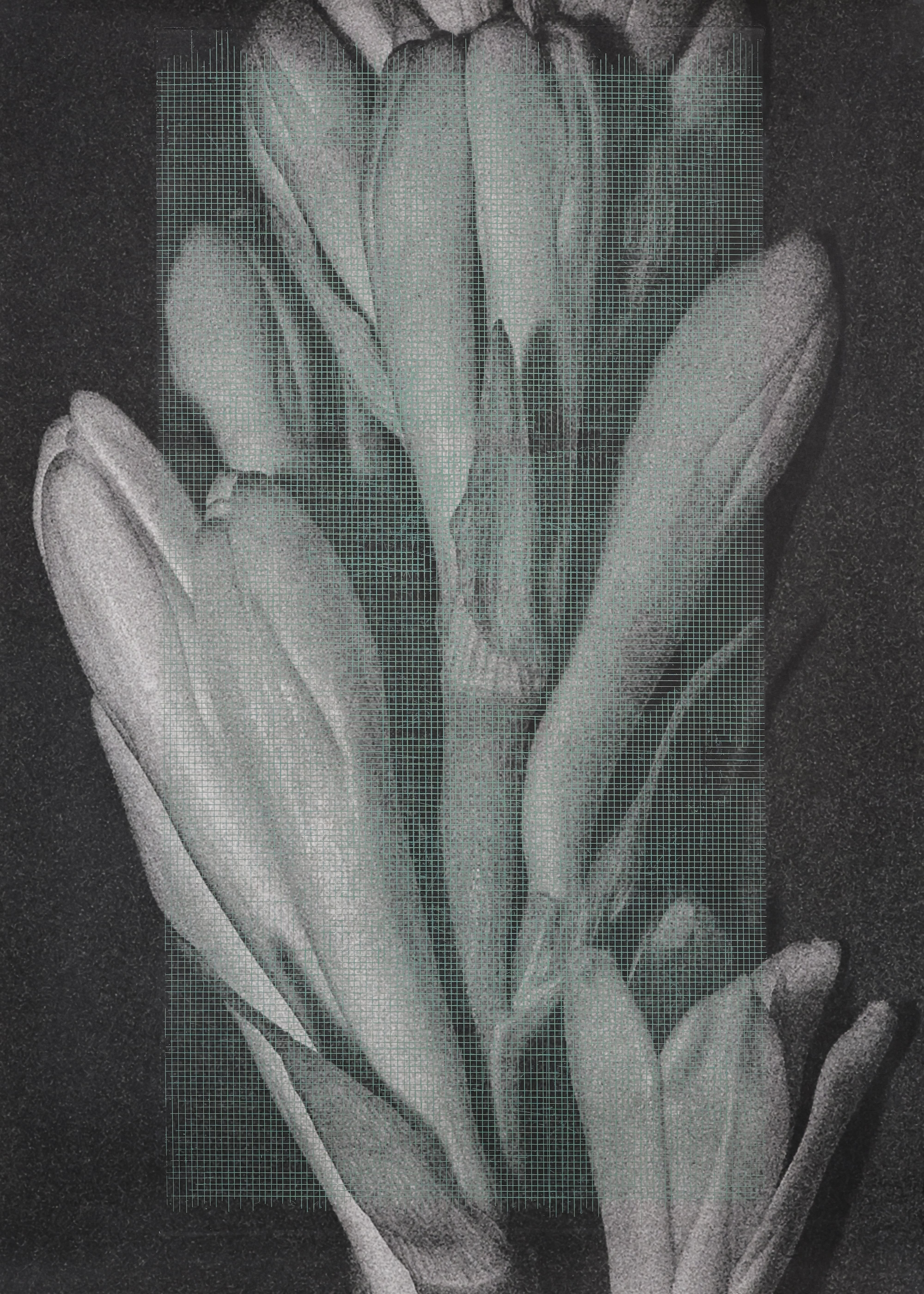 Blow Up (Set of 3)
