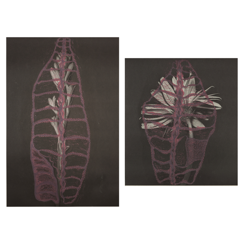 Anatomy of a Savage (Set of 2)