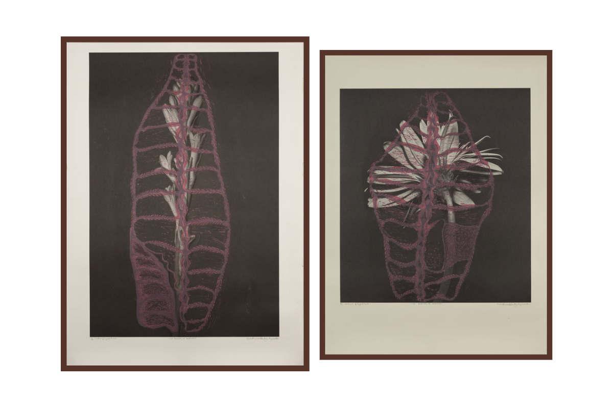 Anatomy of a Savage (Set of 2)