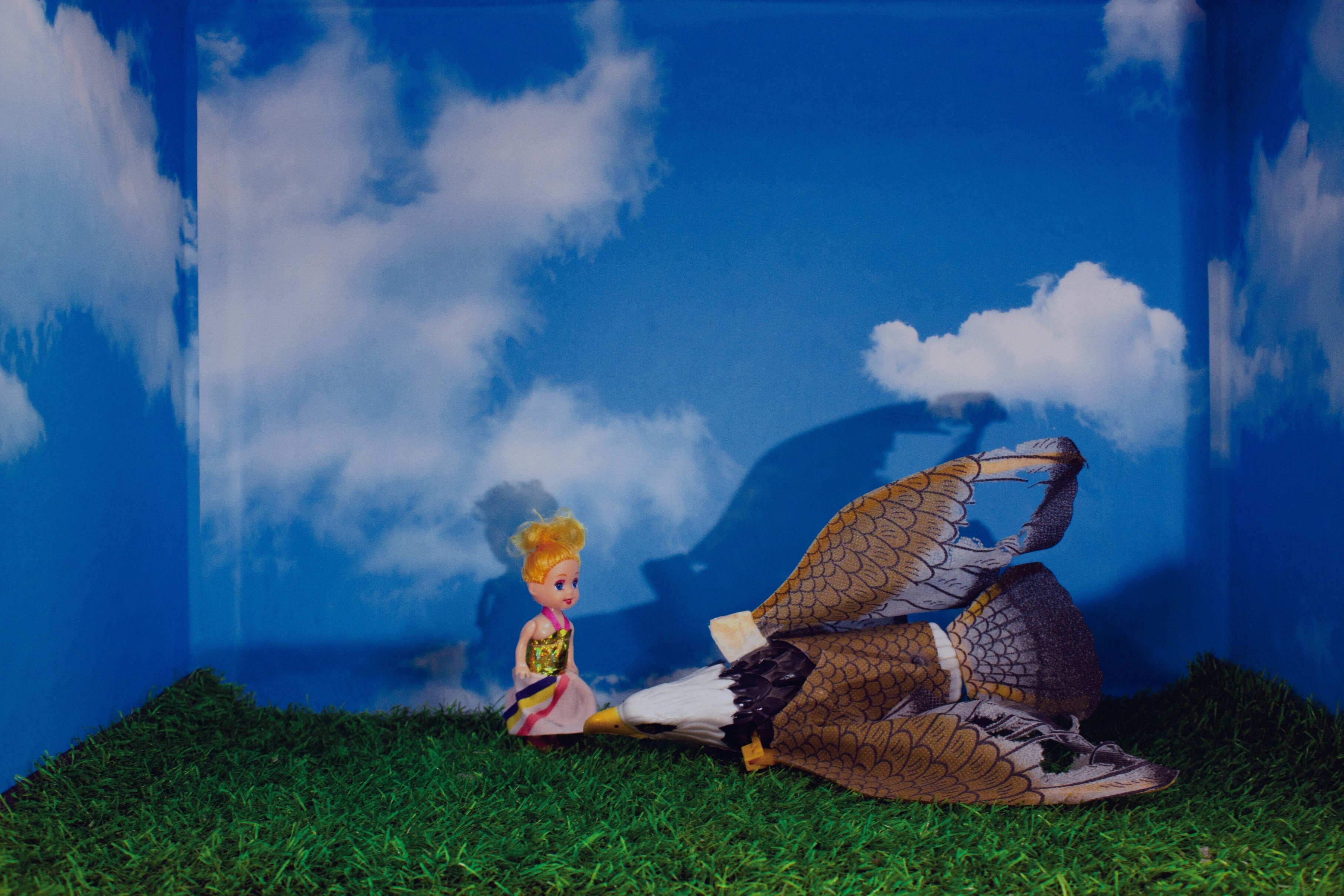 Under The Eye Of The Big Bird (Set of 10)